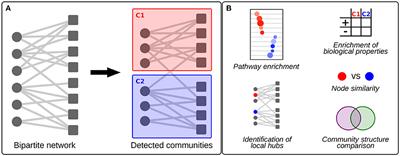 Community Detection in Large-Scale Bipartite Biological Networks